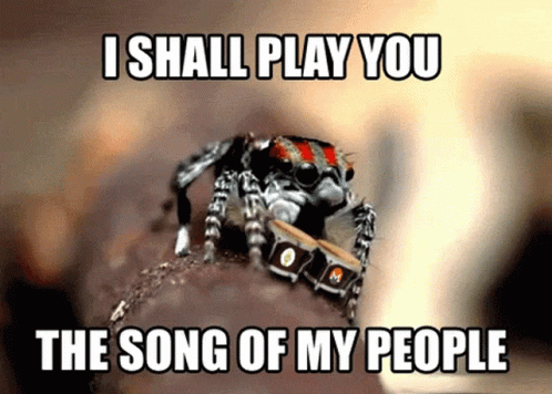 Spider Song Of My People GIFs | Tenor