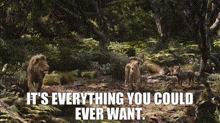 The Lion King Simba GIF - The Lion King Simba Its Everything You Could Ever Want GIFs