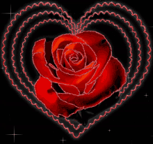 Rose Red Rose GIF - Rose Red Rose Heart GIFs