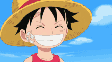 luffy and ace smile