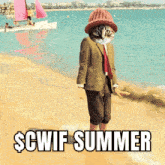 Cwif Solanasummer GIF - Cwif Solanasummer Cwifsummer GIFs