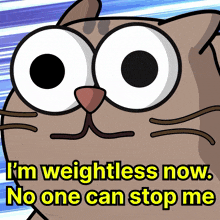 Weightless Cat GIF - Weightless Weight Cat GIFs