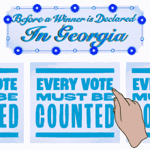 count every vote every vote counts georgia georgia runoff runoff