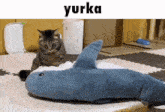 Yurka Ssu GIF - Yurka Ssu Epyckej GIFs
