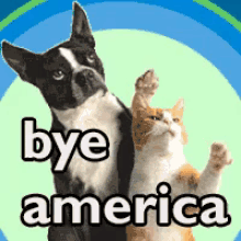 Bye America GIF - Bye America Dog Cat GIFs