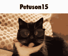 Petuson15 Nerd GIF - Petuson15 Nerd Cat GIFs