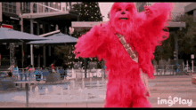 Chewbacca Dance GIF