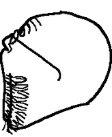 a black and white drawing of a man with a beard and glasses .