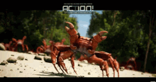 Dancing Crab GIF - Dancing Crab GIFs