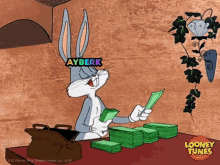 Ayberk Money GIF - Ayberk Money Bugs Bunny GIFs