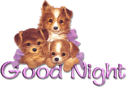 Good Night Dog Sticker - Good Night Dog Puppy Stickers