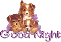 Good Night Dog Sticker - Good Night Dog Puppy Stickers