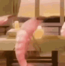 dance shrimp