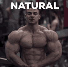 Rafael Brandao Natural GIF - Rafael Brandao Natural Body Building GIFs