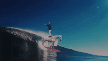 a person riding a horse on a surfboard