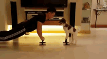 The Best Kind Of Workout Buddy GIF - Dog Dogs Aww GIFs