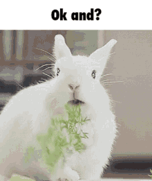 Ok And Rabbit GIF - Ok And Rabbit GIFs