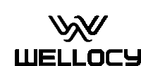 Wellocy Sticker - Wellocy Stickers