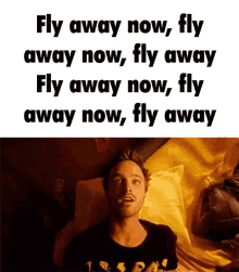 now fly