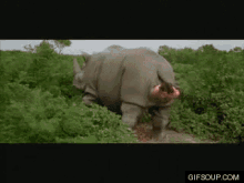 Jim Carrey Rhino GIF - Jim Carrey Rhino Funny GIFs