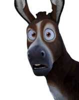 memes burro - Buscar con Google  Burro de shrek, Memes para reir, Shrek