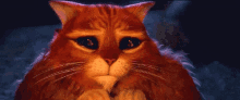 a cat with a sad look on its face