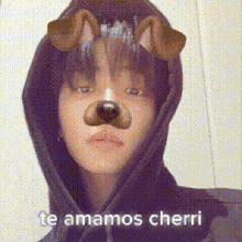 a person wearing a hoodie with a dog mask on their face and the words `` te amamos cherri '' on the bottom .
