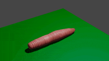 a worm is laying on a green surface