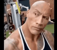 The Rock Eyebrow Raise Fan Made Art GIF