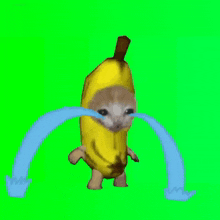 Banana Cry Cat GIF - Banana Cry Cat GIFs