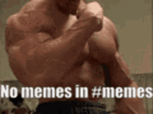 No Memes In General Memes GIF - No Memes In General No Memes Memes GIFs