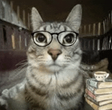 a cat with glasses is sitting next to a stack of books .
