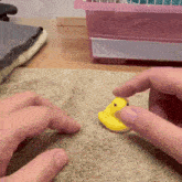 a person playing with a small yellow rubber duck on a towel