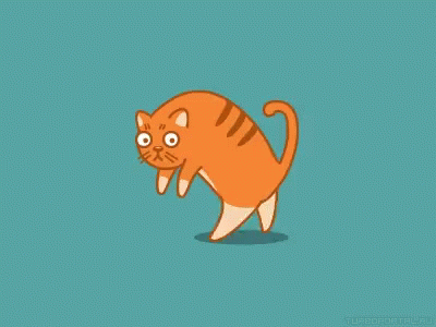 scared cat animated gif