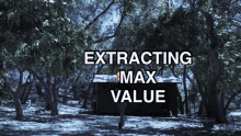 Max Value GIF - Max Value Rabbles GIFs