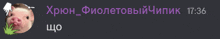 a picture of a pig next to a purple text that reads 17:36