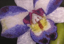 Painting Orchids With Seed Beads GIF