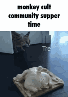 Monkeycult Dinner Time GIF - Monkeycult Dinner Time Supper Time GIFs
