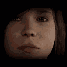 a close up of a woman 's face with brown eyes and freckles