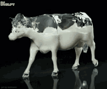 Milk Cow Cow GIF - Milk Cow Cow Milk GIFs