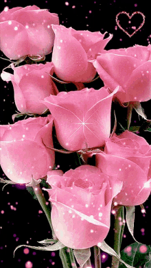 rose glitter57 love rose57 beauty rose57 sweet rose57 sweet517