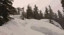 Snowboarding Fails GIF - Snowboarding Fail Flip GIFs