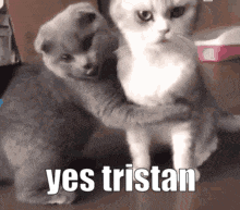 Hug Tristan GIF - Hug Tristan Moi GIFs