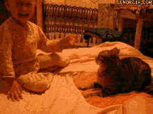 funny baby cat attack bitch slap