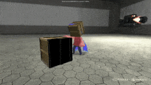 a screenshot of a video game shows a girl with a box on her head standing next to a box