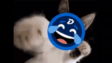 a picture of a cat with a laughing face and tears coming out of its eyes