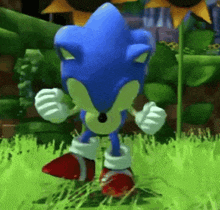 sonic the hedgehog is standing in a grassy field in a video game