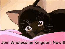 Wholesome Kingdom Cute GIF - Wholesome Kingdom Cute Cat GIFs