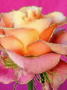 Rose Animation GIF