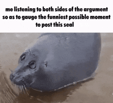 Seal GIF